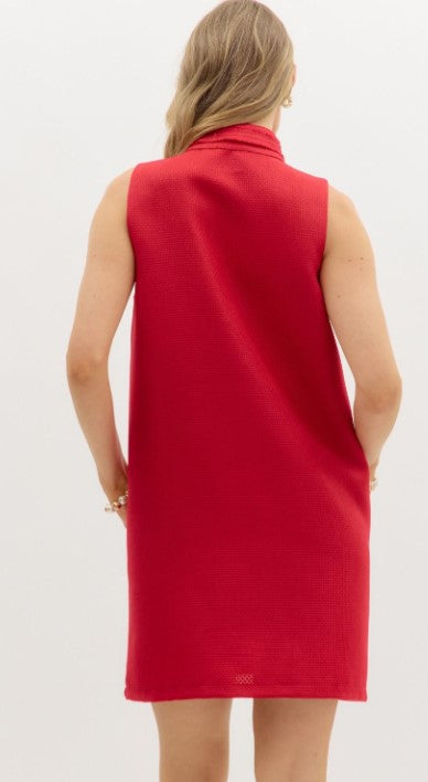 Alyson Sleeveless Raw Edge Finish Mini Dress