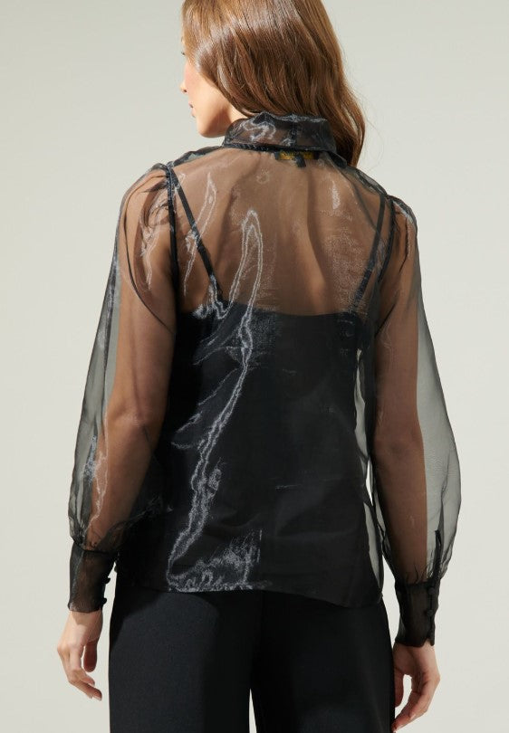 Audrey Organza Long Sleeve Shirt