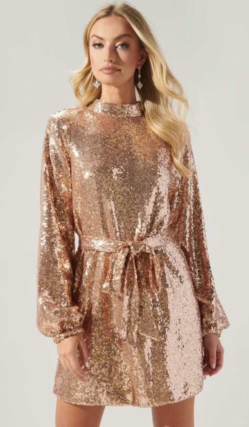 Mimi Mock Neck Sequin Mini Dress
