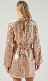 Mimi Mock Neck Sequin Mini Dress