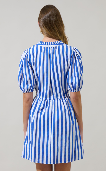 Parker Striped Mini Dress