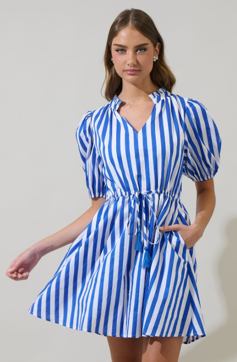 Parker Striped Mini Dress