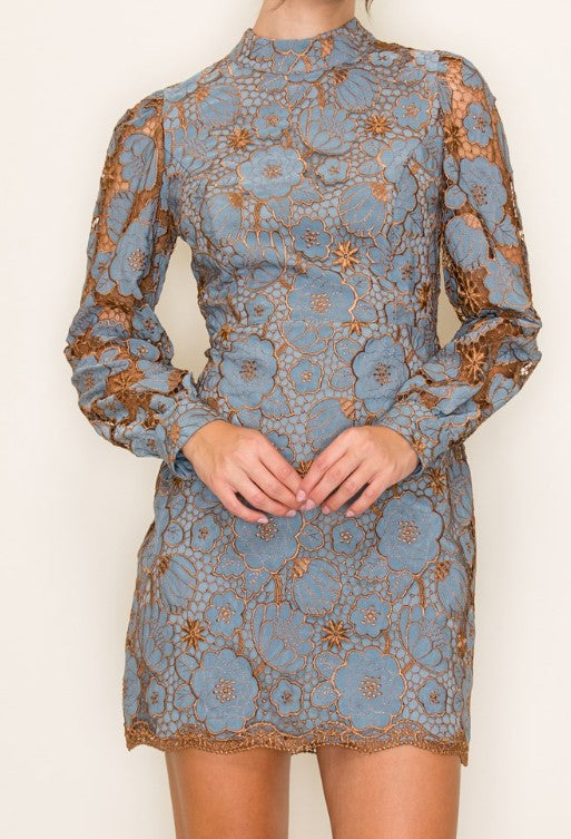 Rose Embroidered Neck Band Long Sleeve Mini Dress
