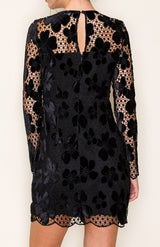 Sabrina Velvet Lace Mini Dress