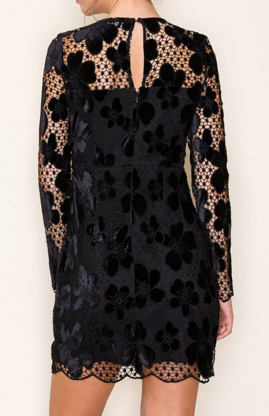 Sabrina Velvet Lace Mini Dress