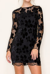 Sabrina Velvet Lace Mini Dress