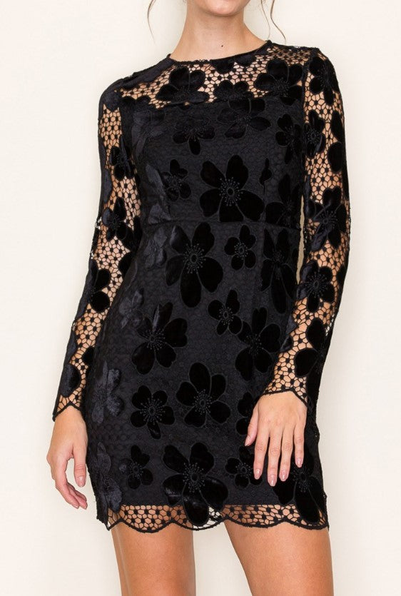 Sabrina Velvet Lace Mini Dress