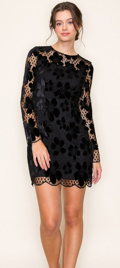 Sabrina Velvet Lace Mini Dress