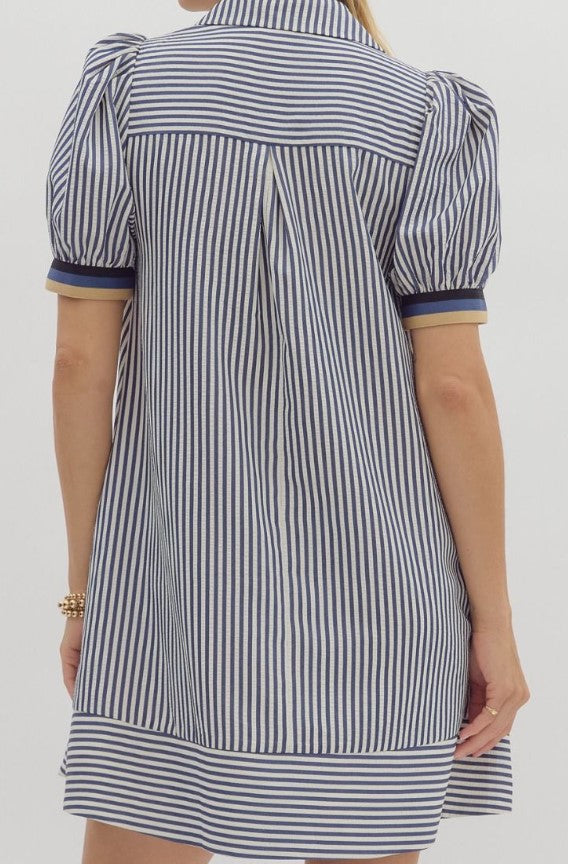 Sadie Striped Swing Dress