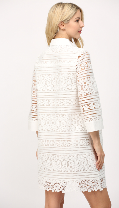 Sarah Crochet Lace Shift Dress