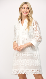 Sarah Crochet Lace Shift Dress